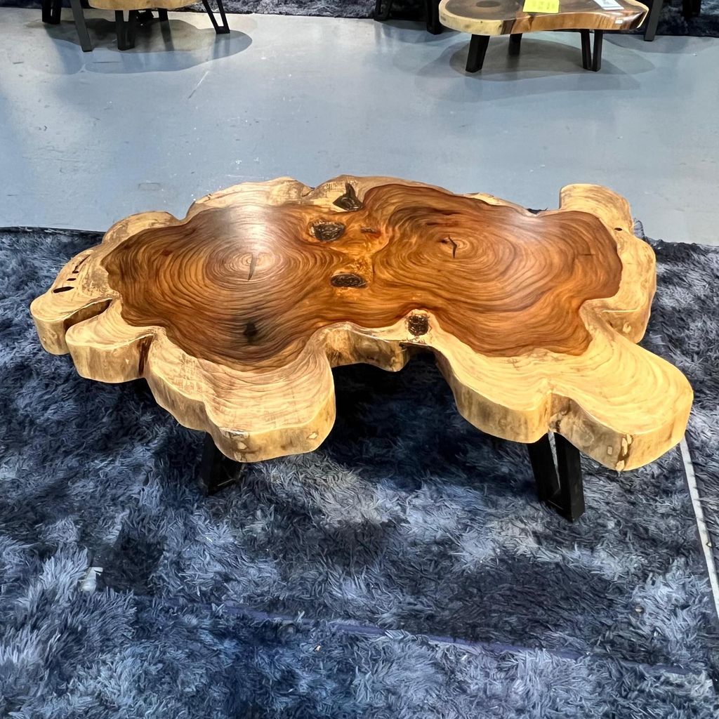 WhatsApp Image 2026-01-25 at 4.58.51 PM