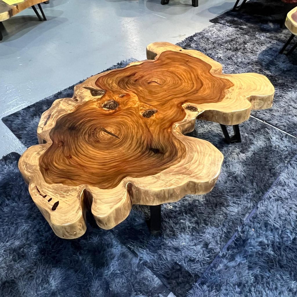 WhatsApp Image 2026-01-25 at 4.58.51 PM (1)