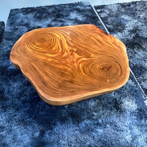 WhatsApp Image 2026-01-25 at 4.58.51 PM