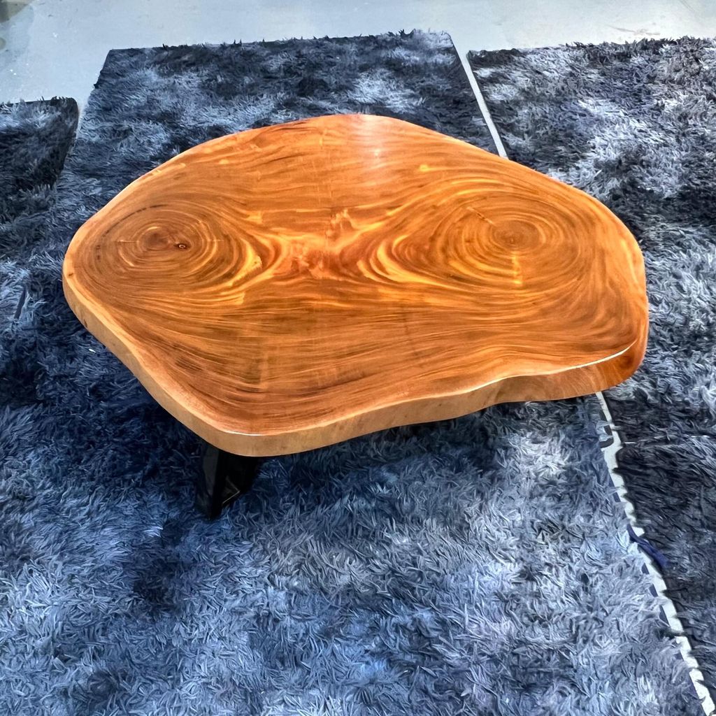 WhatsApp Image 2026-01-25 at 4.58.51 PM