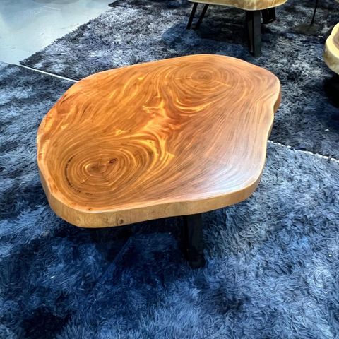 WhatsApp Image 2026-01-25 at 4.58.51 PM (1)