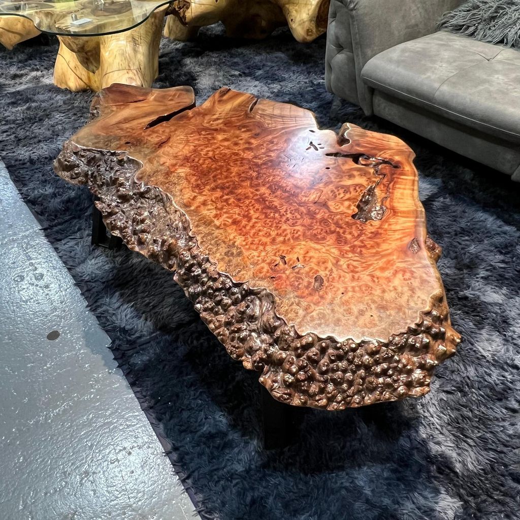 WhatsApp Image 2026-01-25 at 6.46.15 PM