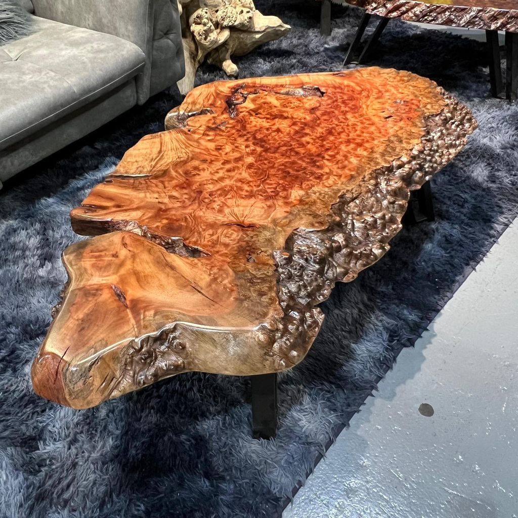 WhatsApp Image 2026-01-25 at 6.46.15 PM (2)