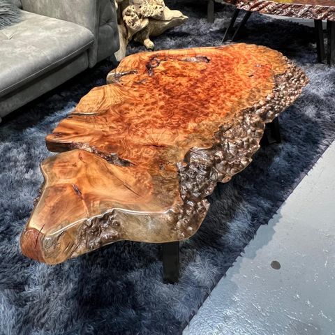 WhatsApp Image 2026-01-25 at 6.46.15 PM (2)