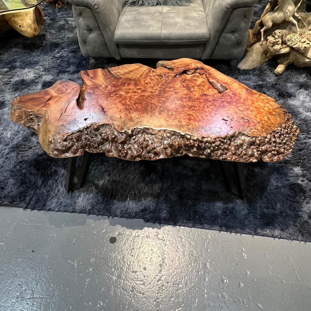 WhatsApp Image 2026-01-25 at 6.46.15 PM (1)