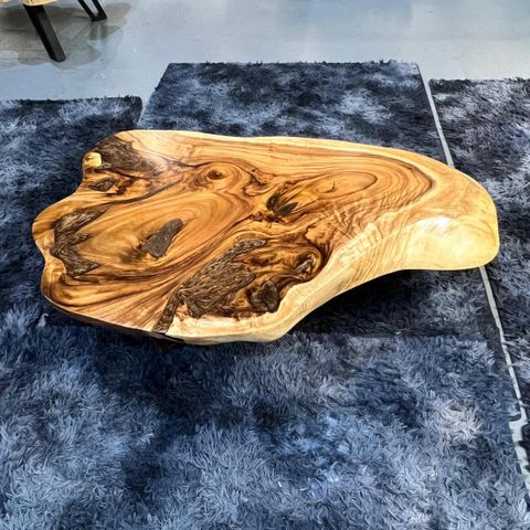 WhatsApp Image 2026-01-25 at 4.58.52 PM