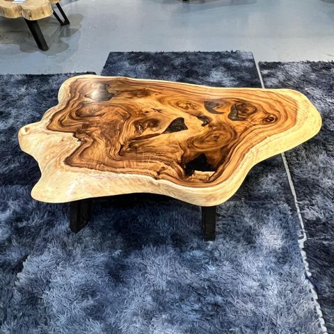 WhatsApp Image 2026-01-25 at 4.58.52 PM