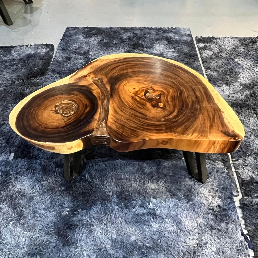 WhatsApp Image 2026-01-25 at 6.46.14 PM