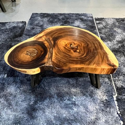 WhatsApp Image 2026-01-25 at 6.46.14 PM