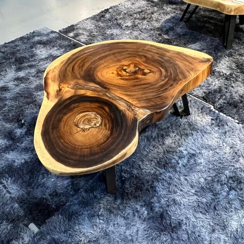 WhatsApp Image 2026-01-25 at 6.46.14 PM (1)