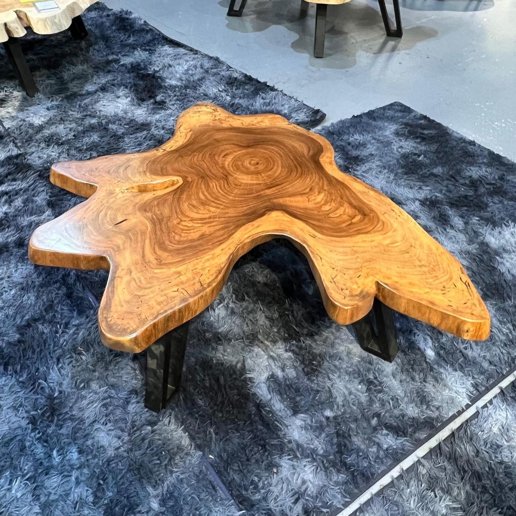 WhatsApp Image 2026-01-25 at 6.46.14 PM (2)