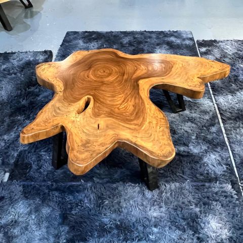 WhatsApp Image 2026-01-25 at 6.46.14 PM