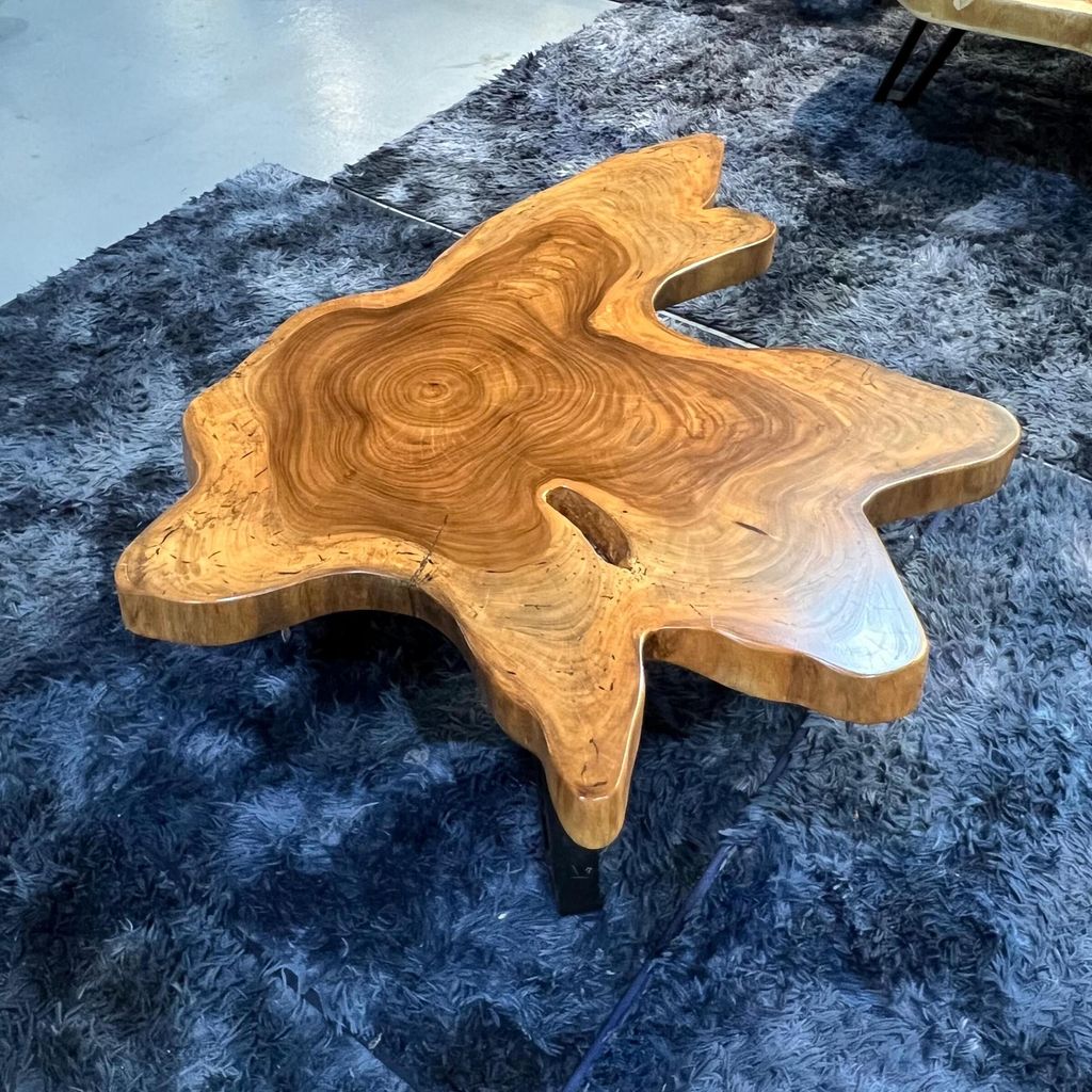 WhatsApp Image 2026-01-25 at 6.46.14 PM (1)