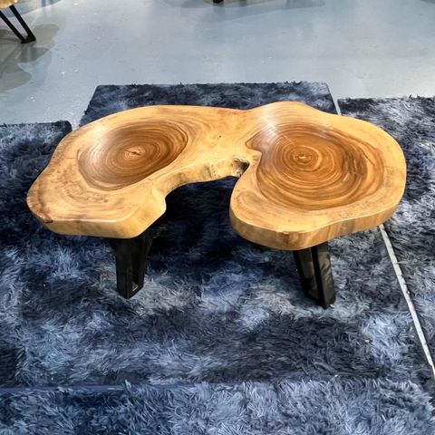 WhatsApp Image 2026-01-25 at 6.46.14 PM