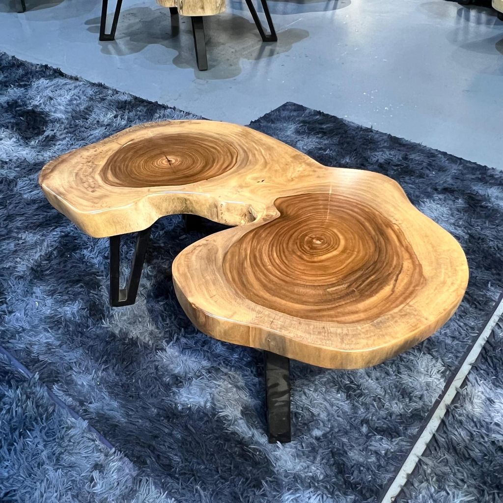 WhatsApp Image 2026-01-25 at 6.46.14 PM (3)