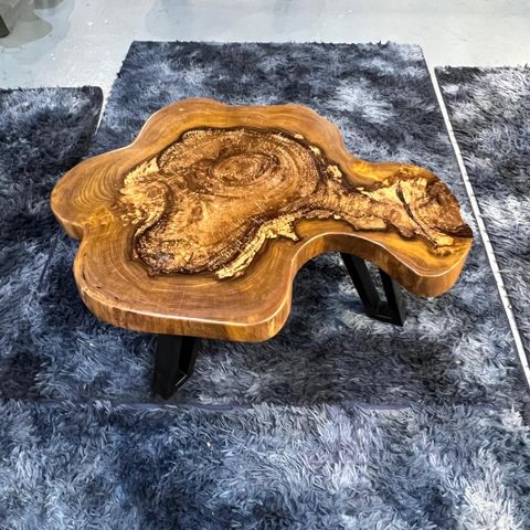 WhatsApp Image 2026-01-25 at 6.46.15 PM