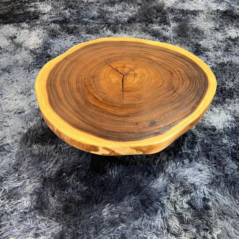 WhatsApp Image 2026-01-30 at 4.13.42 PM