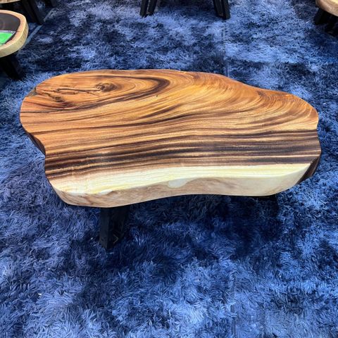 WhatsApp Image 2026-01-30 at 4.13.42 PM