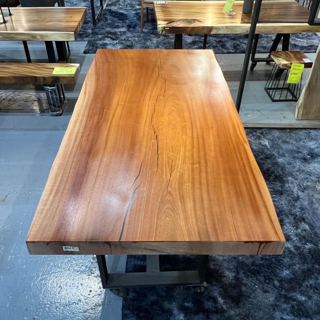 WhatsApp Image 2026-02-03 at 1.28.08 PM