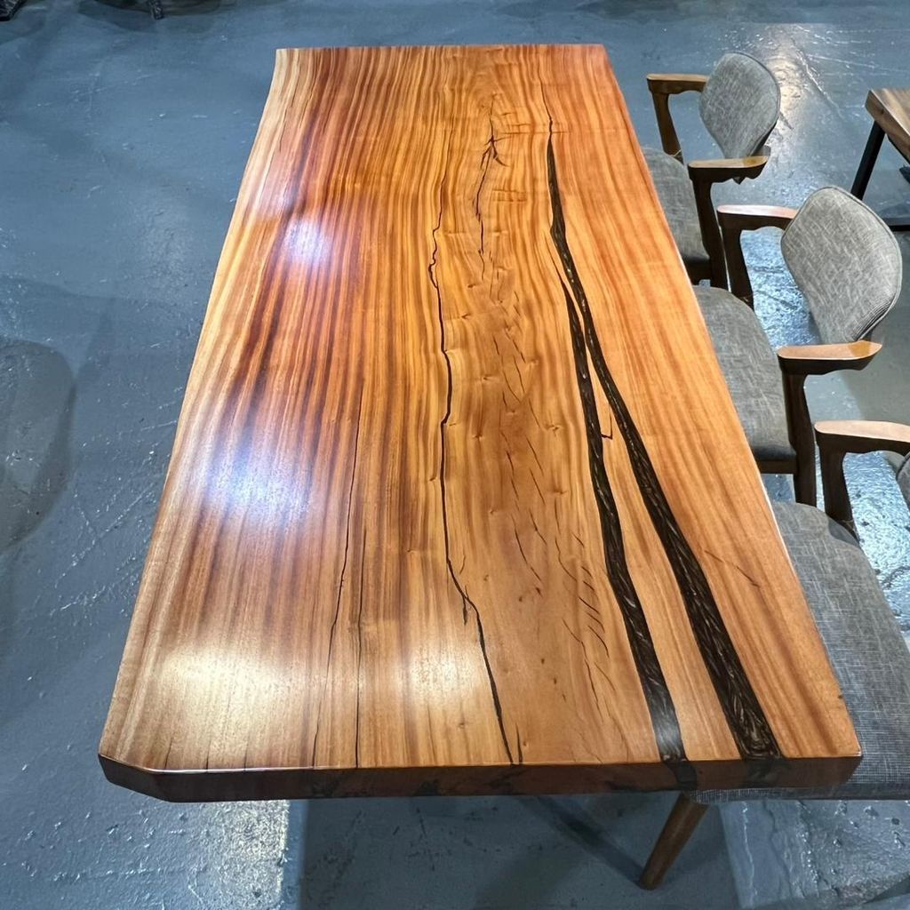 WhatsApp Image 2026-02-20 at 10.31.35 AM