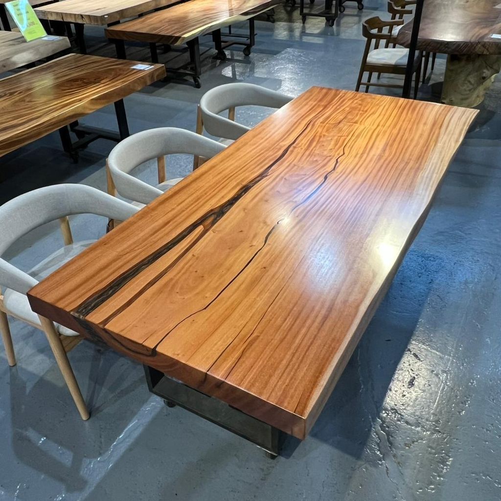 WhatsApp Image 2026-02-20 at 10.31.34 AM