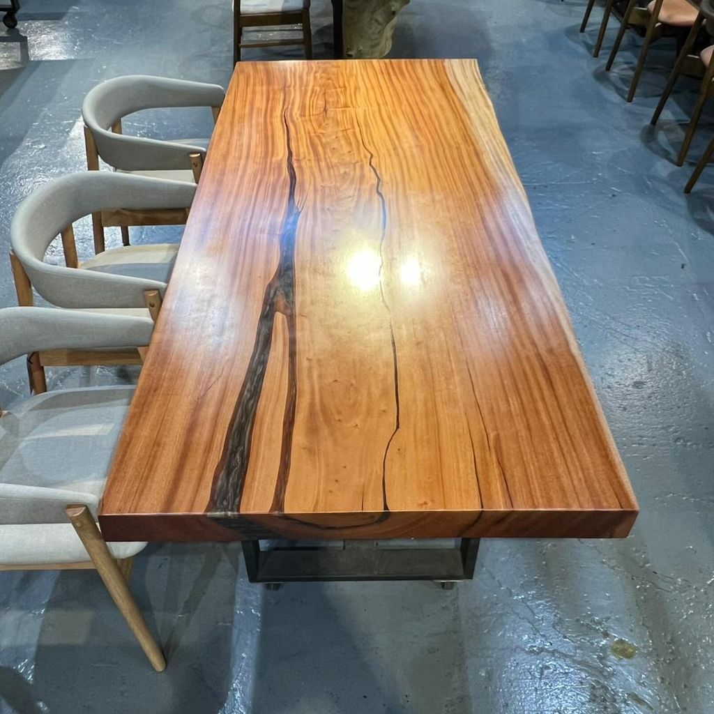 WhatsApp Image 2026-02-20 at 10.31.41 AM