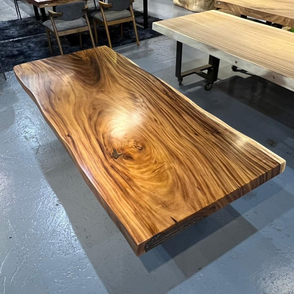 WhatsApp Image 2026-02-20 at 10.31.37 AM