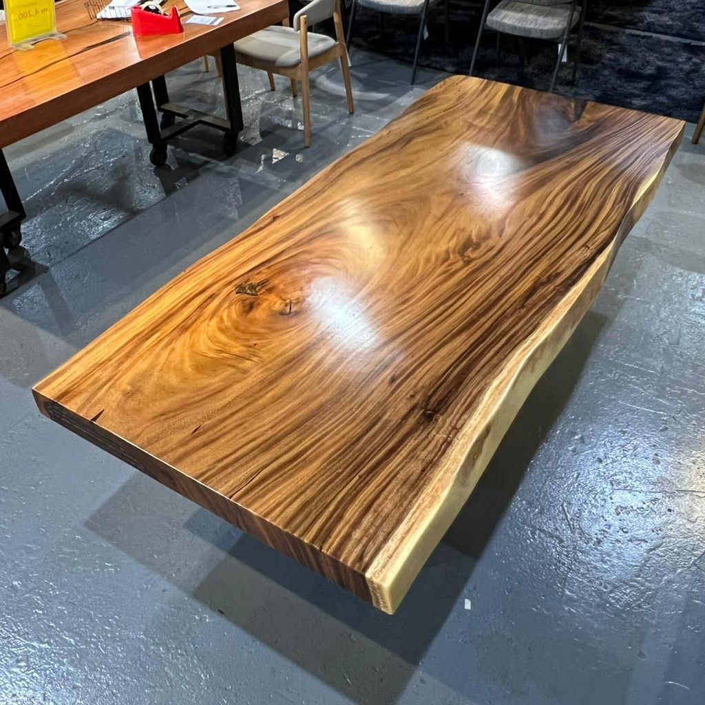 WhatsApp Image 2026-02-20 at 10.31.41 AM