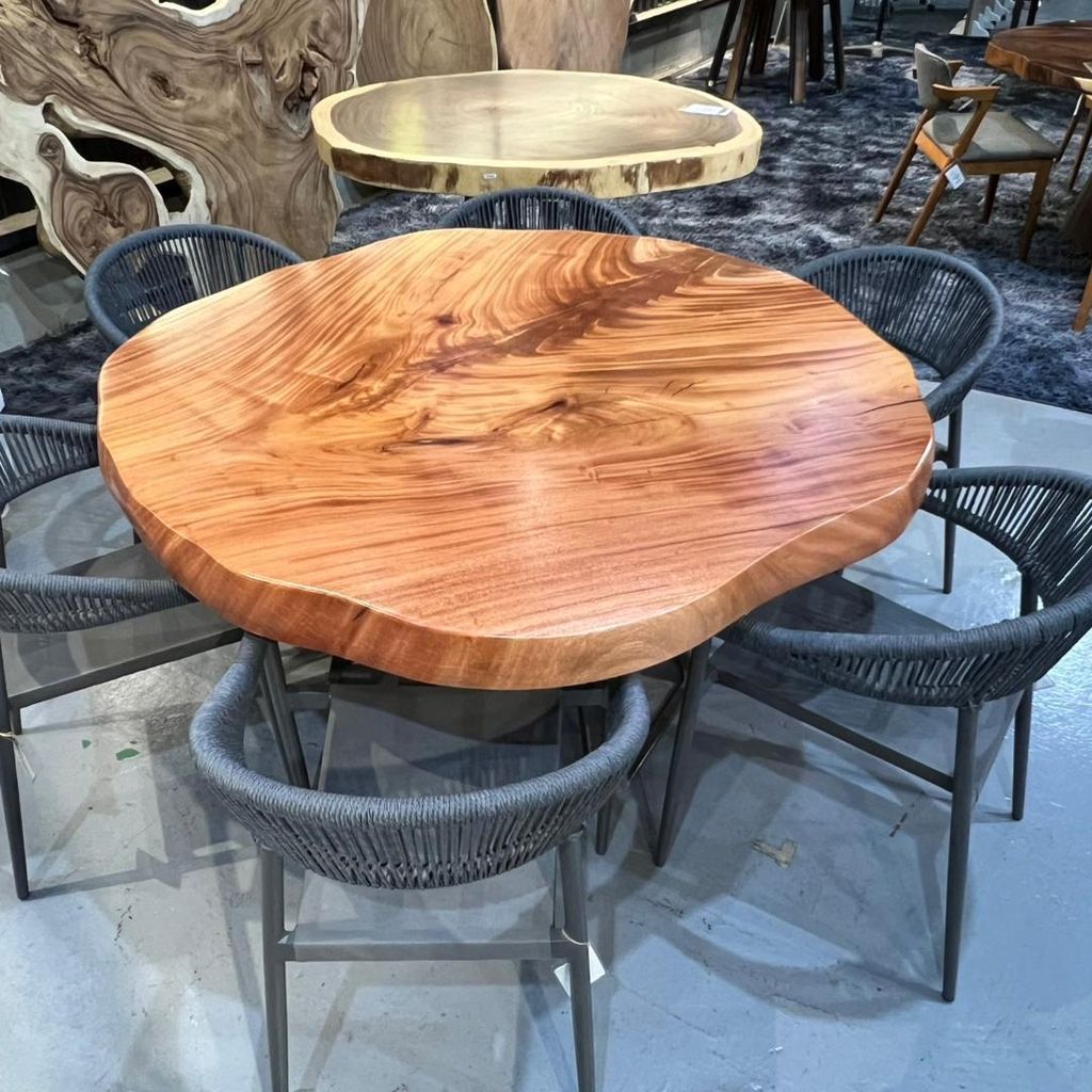 WhatsApp Image 2026-02-20 at 10.31.44 AM