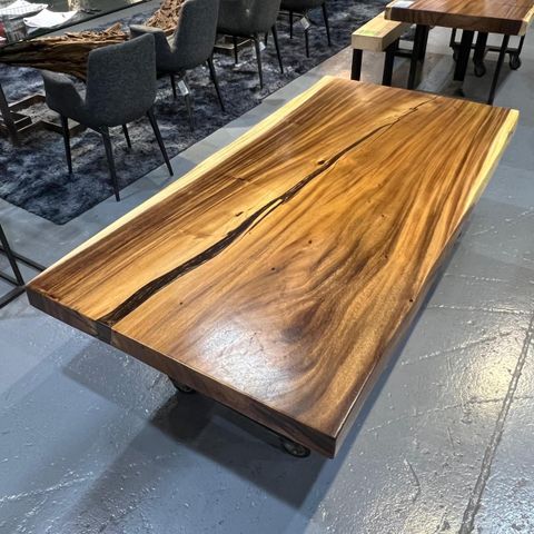 WhatsApp Image 2026-02-20 at 11.04.24 AM