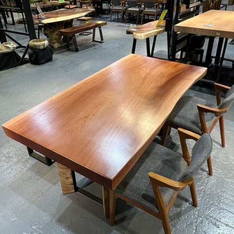 WhatsApp Image 2026-02-20 at 10.31.46 AM