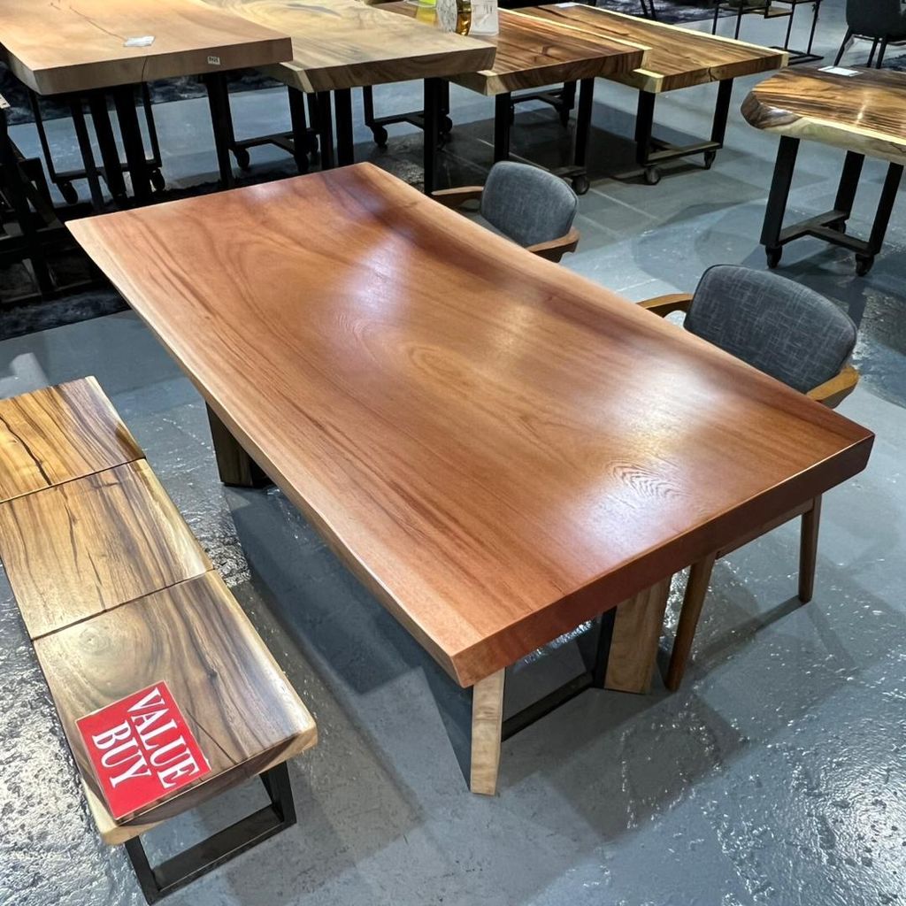 WhatsApp Image 2026-02-20 at 10.31.45 AM