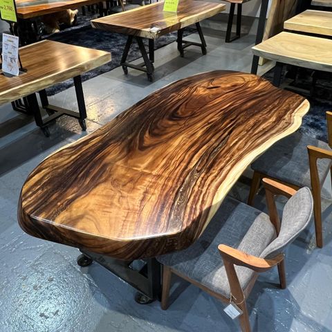 WhatsApp Image 2026-02-20 at 11.03.34 AM