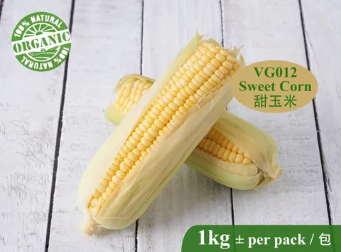 VG012 Sweet Corn-RM15.00 per kg.jpg