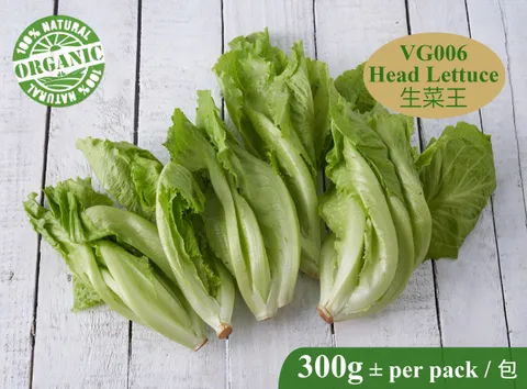 VG006 Head Lettuce-RM5.50 per 300g+.jpg