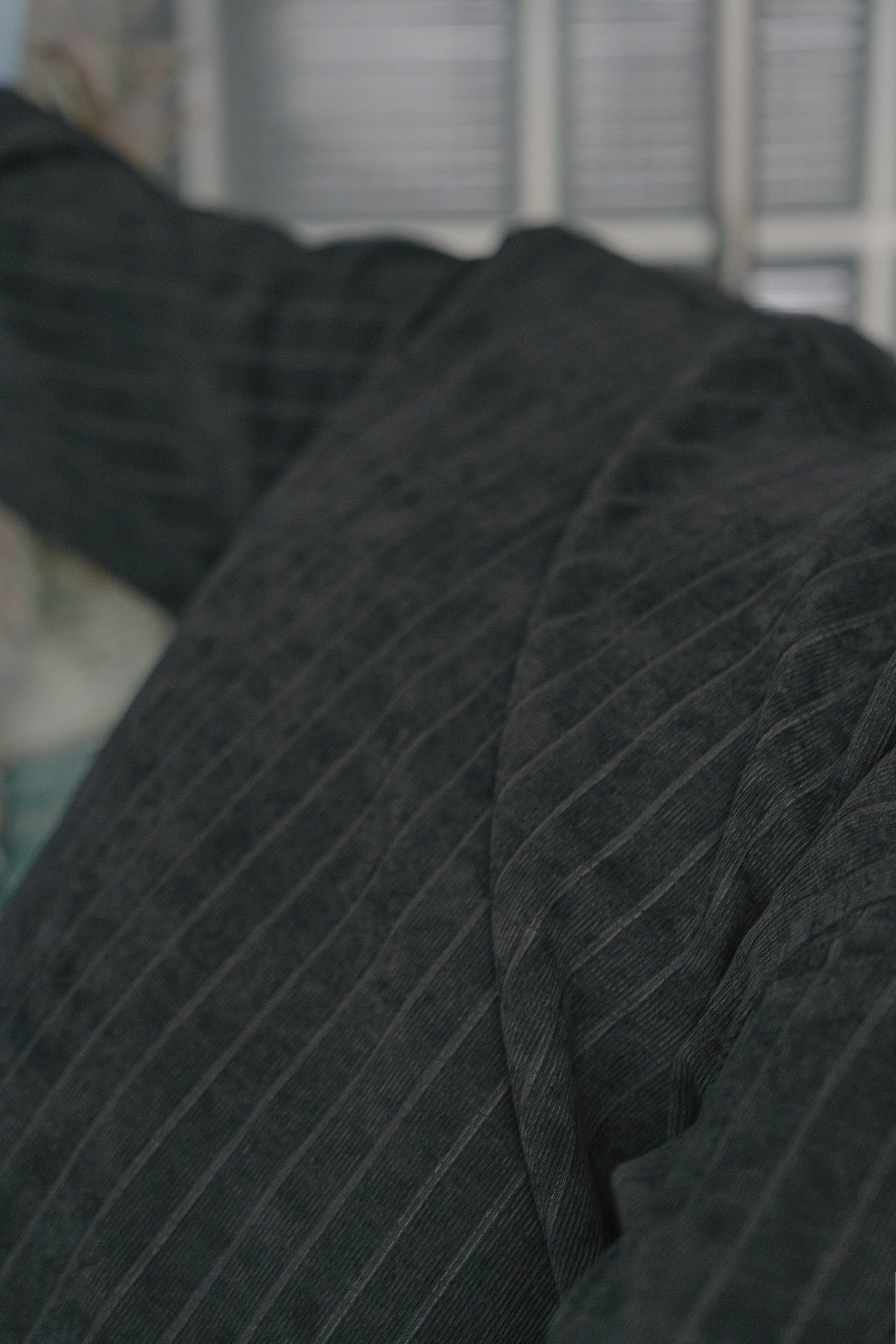 Capture One Catalog2567