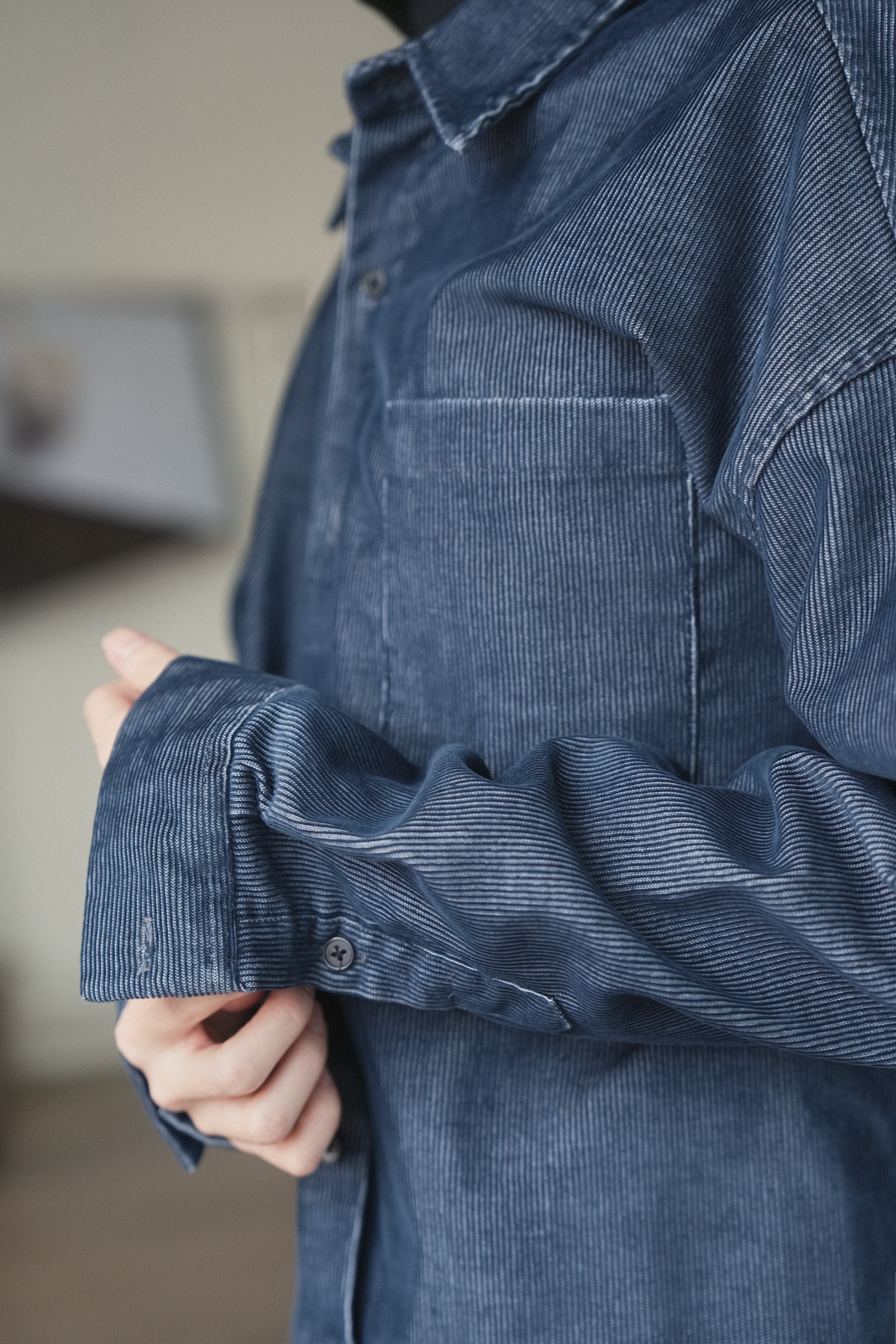 Capture One Catalog2024