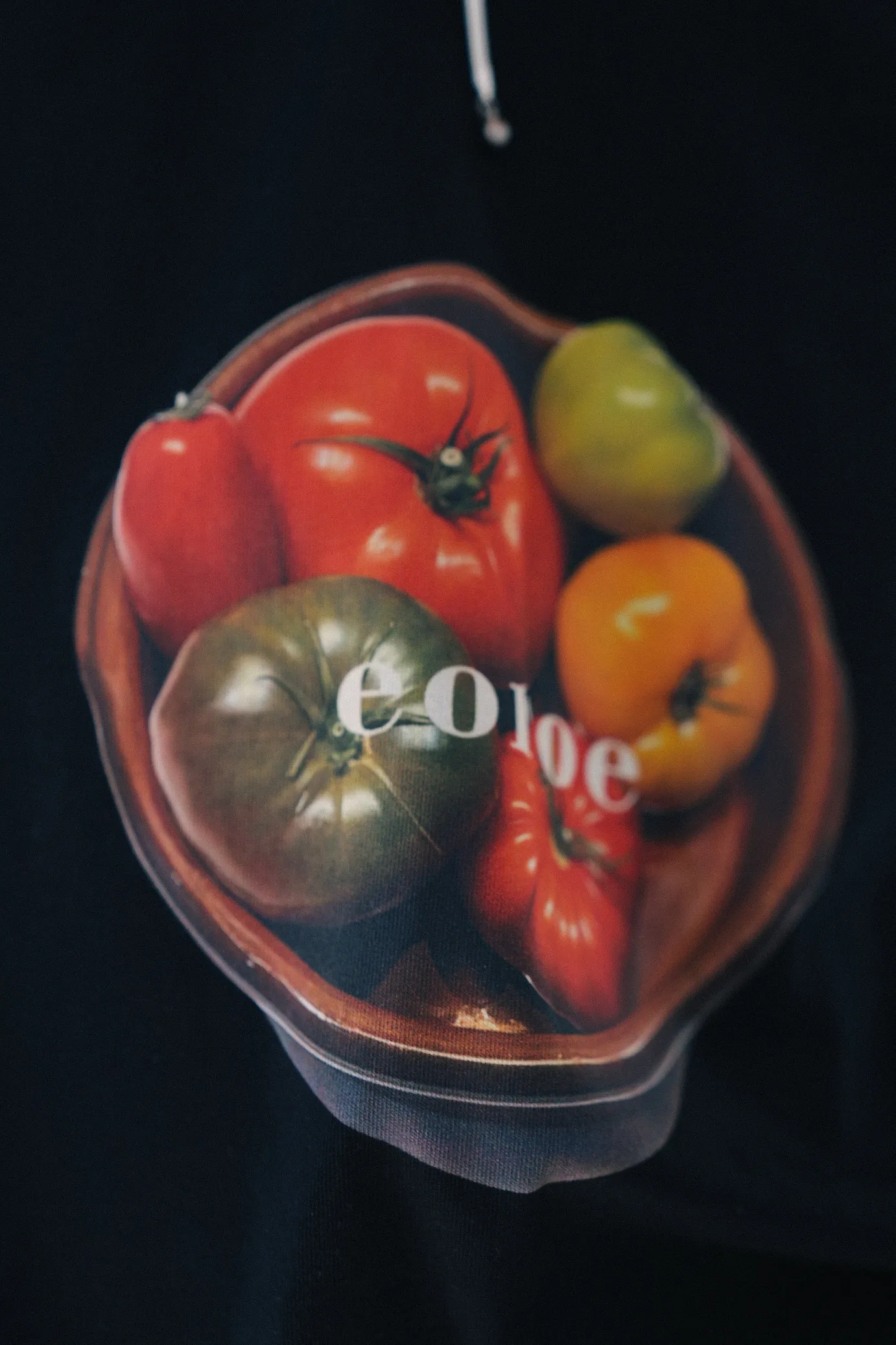 Capture One Catalog1440