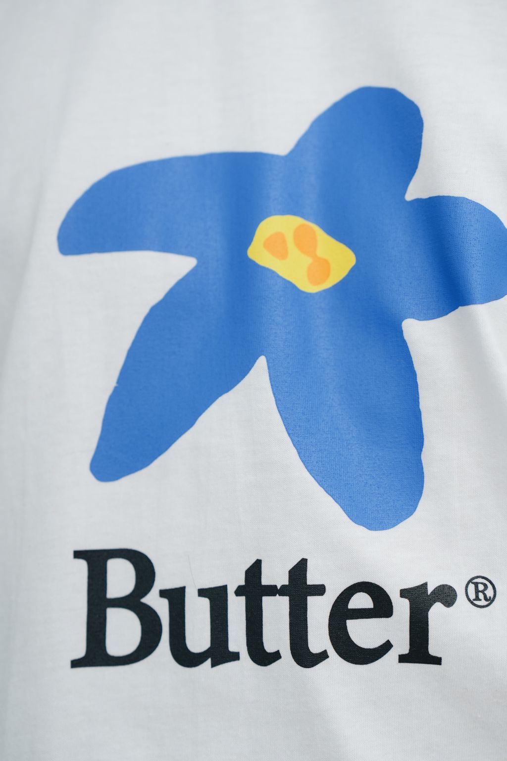 Capture One Catalog0292