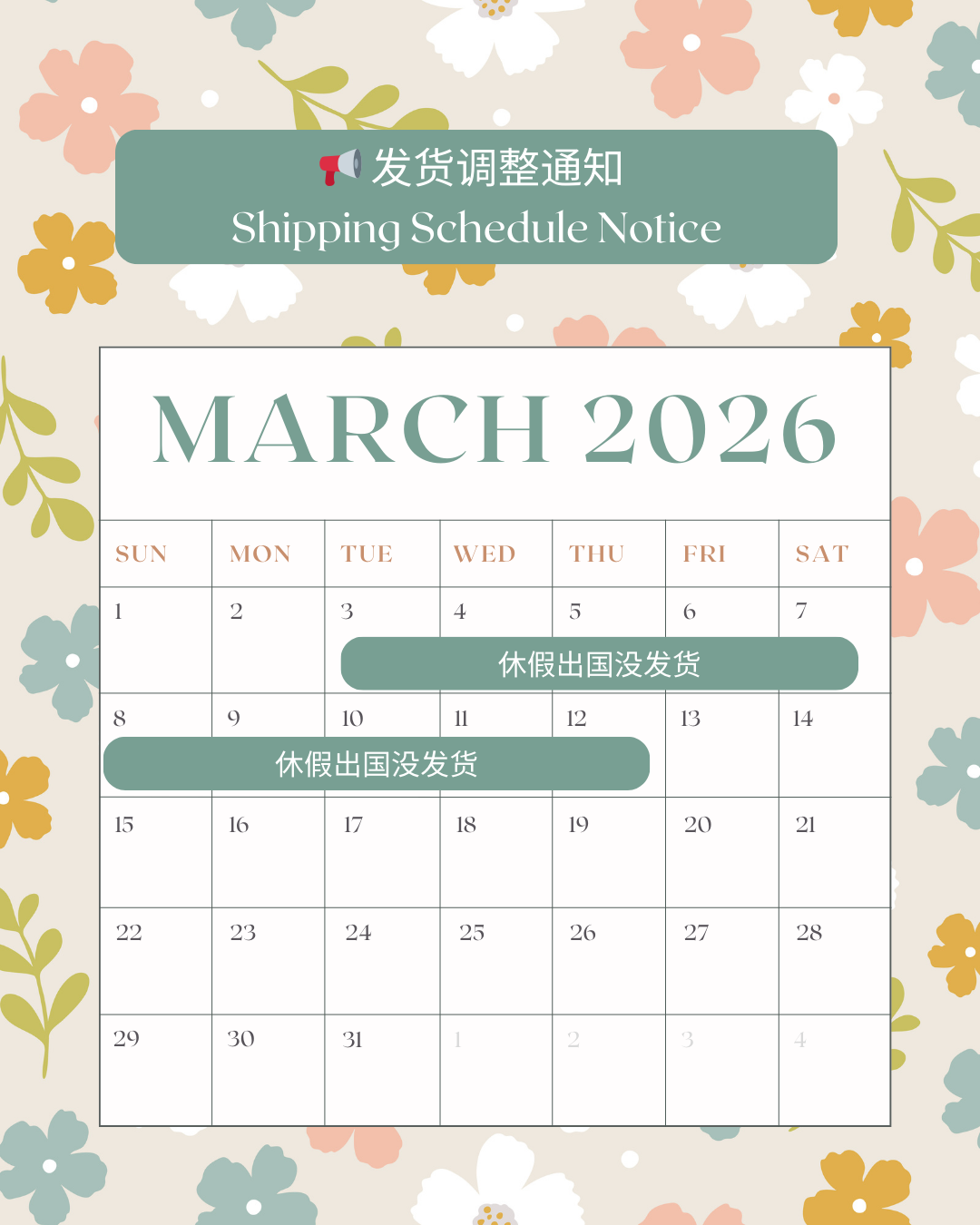  | Everbeauty Collection