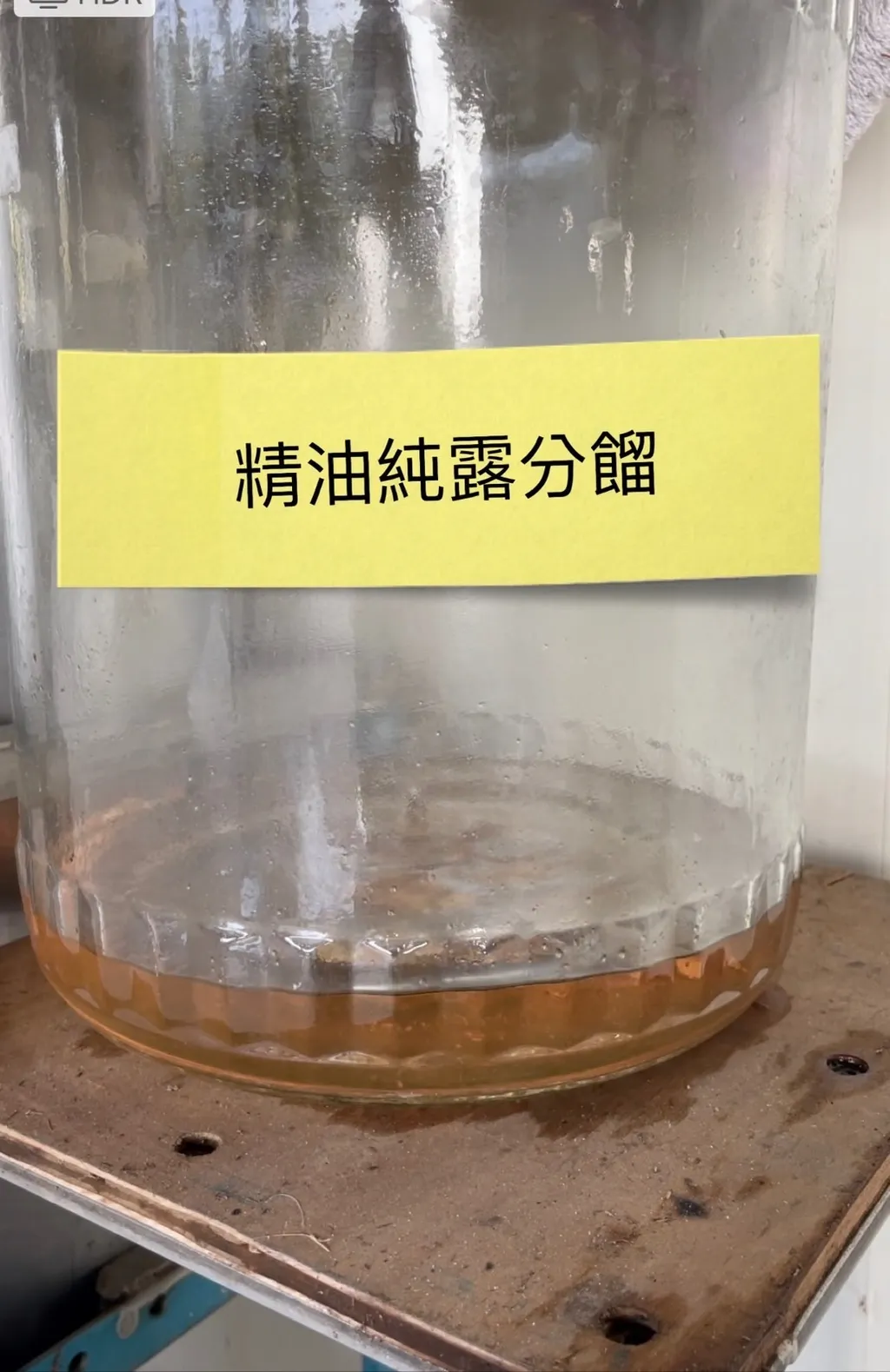 S__96280599