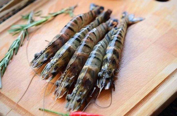 tigerprawn.jpg
