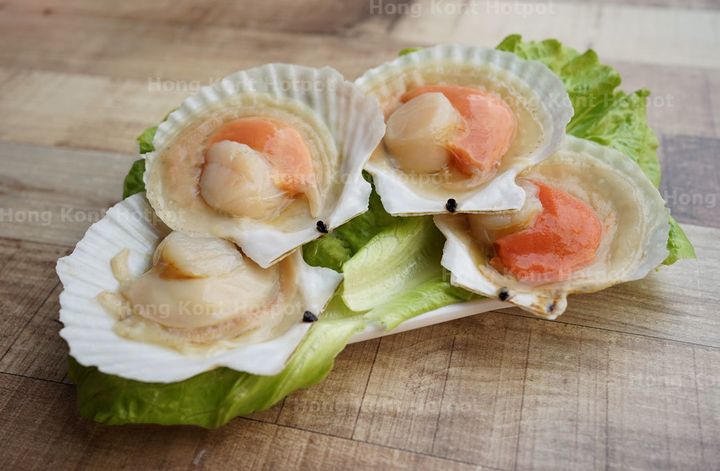 Japscallop1.jpg