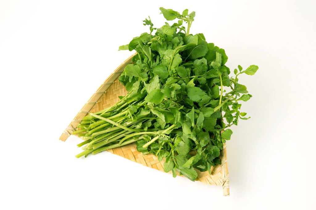 watercress1.jpg