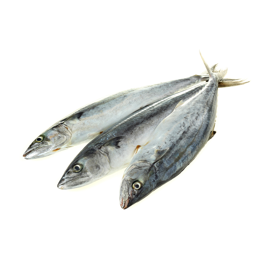 Ikan Tenggiri (Spanish Mackerel) 1KG €“ Groove Grocer Ikan Tenggiri (Spanish Mackerel) 1KG €“ Groove Grocer