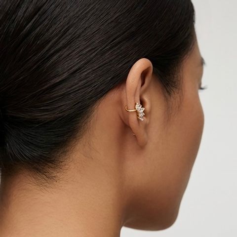 image_5B761256-CA39-4112-8F35-8DB35C66F94D_1764885982