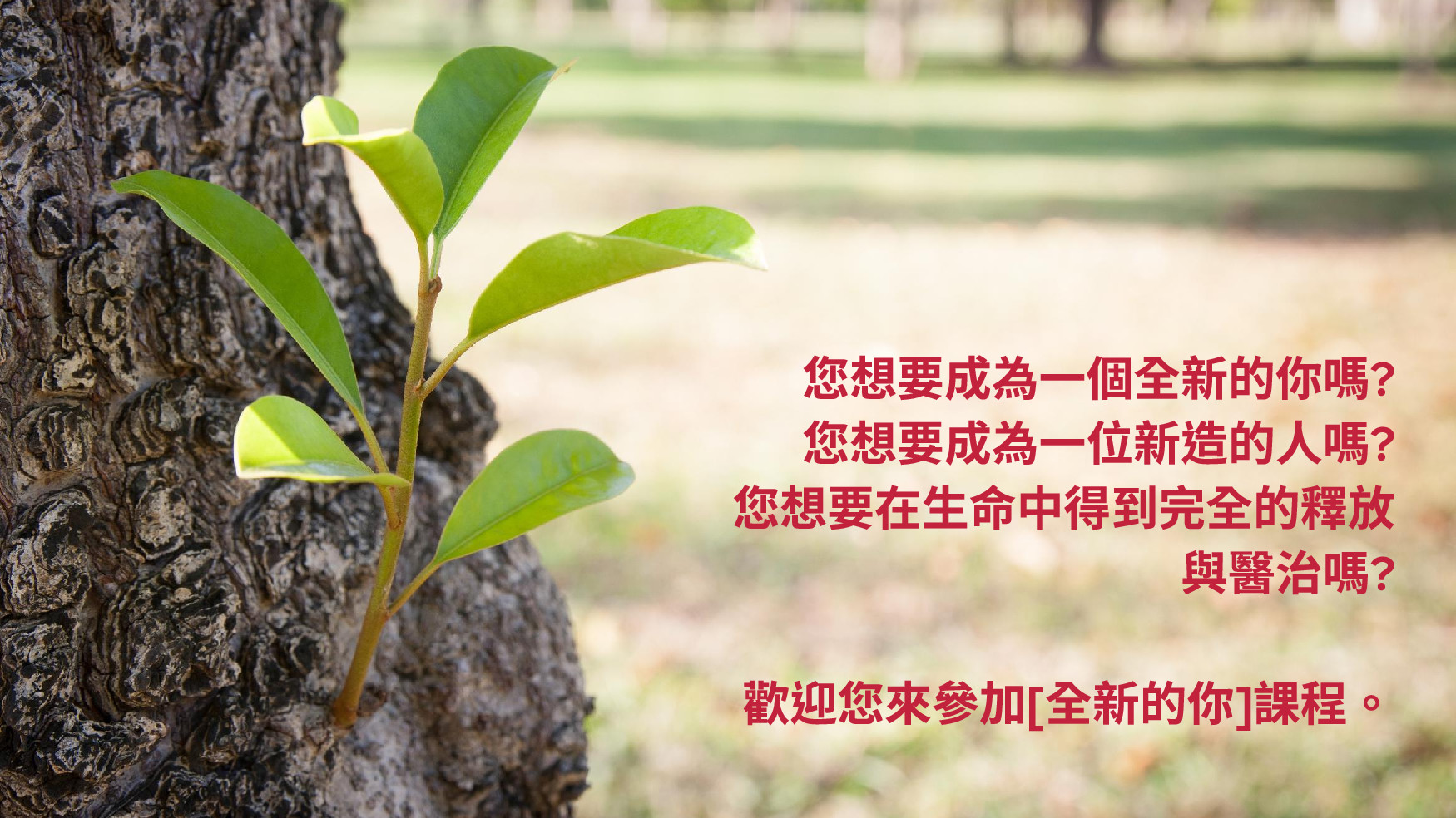 Redditech IT Networks.jpg