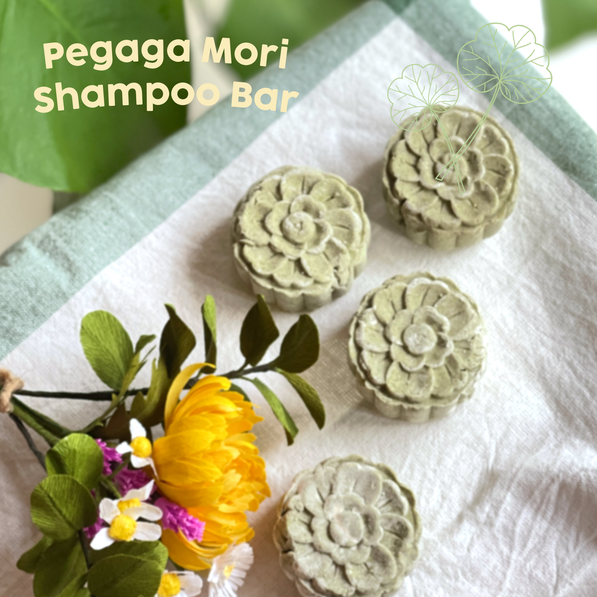 PEGAGA (GOTU KOLA) with RICE STARCH SHAMPOO BAR (All Hair Types)) –  Summerset Soaps