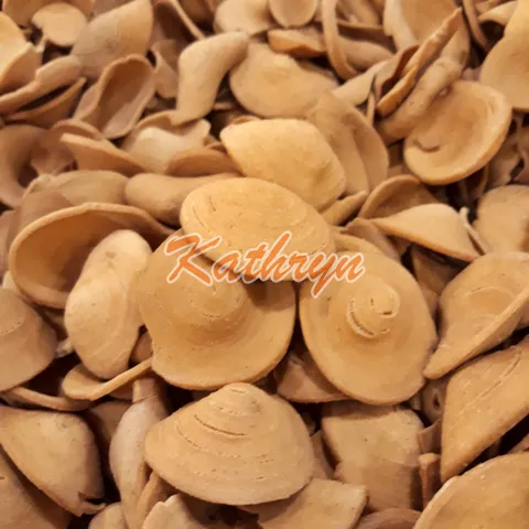 Biskut Berbentuk Telinga.jpg