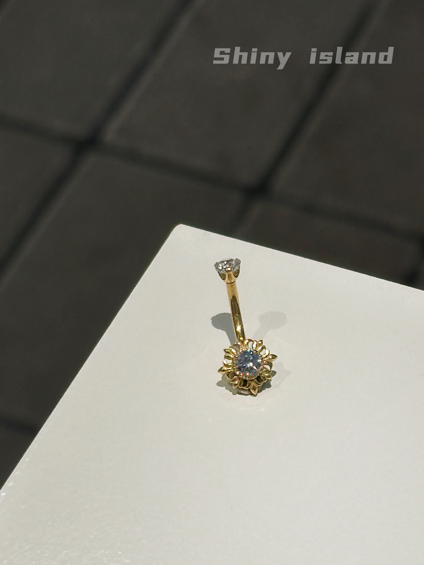 image_6E3749F9-AEDC-4459-8E1A-AC53C771BC05_1765180346